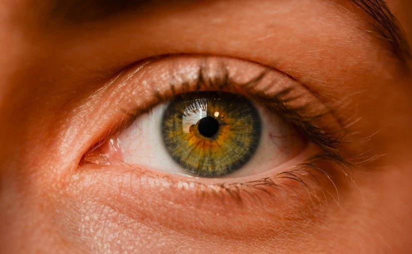 Oczy to niezwykły organ. To otóż to dzięki nim spostrzegamy.